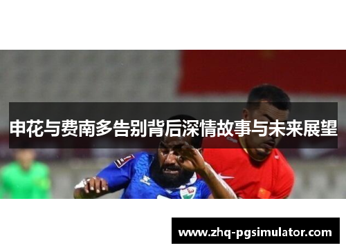 申花与费南多告别背后深情故事与未来展望
