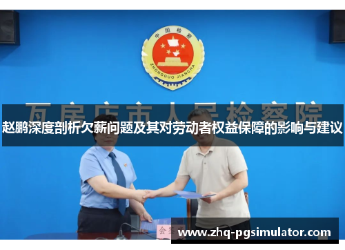 赵鹏深度剖析欠薪问题及其对劳动者权益保障的影响与建议