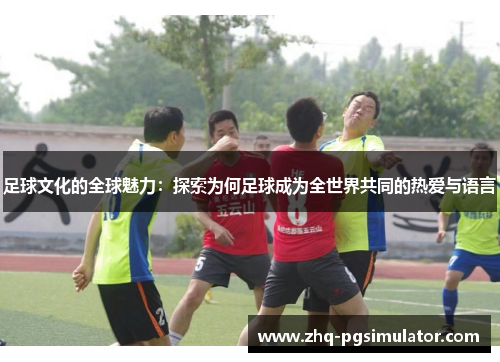 足球文化的全球魅力：探索为何足球成为全世界共同的热爱与语言