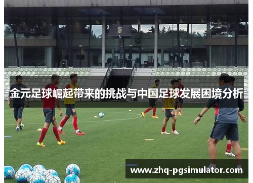 金元足球崛起带来的挑战与中国足球发展困境分析 金元足球崛起带来的挑战与中国足球发展困境分析