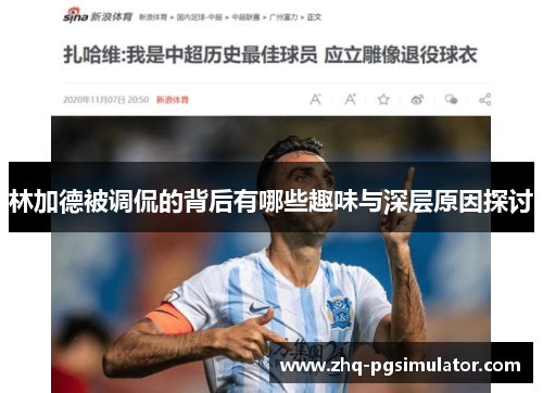 林加德被调侃的背后有哪些趣味与深层原因探讨