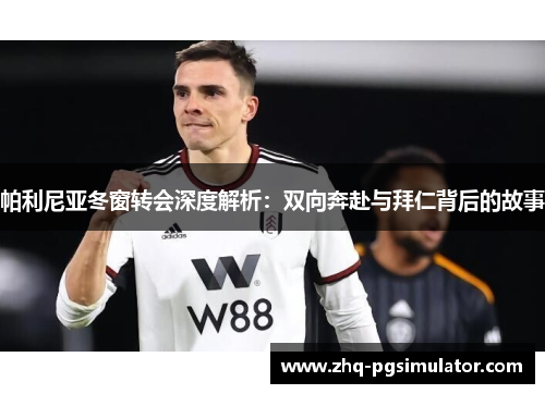 帕利尼亚冬窗转会深度解析：双向奔赴与拜仁背后的故事